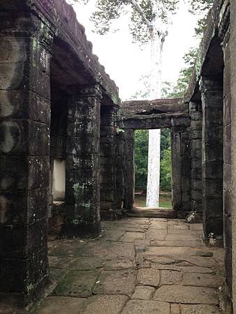 IMG_2262.JPG IMG_2262.JPG