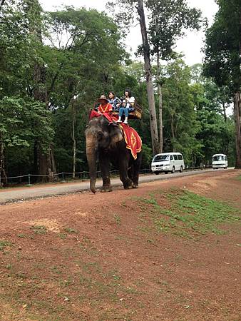 IMG_2337.JPG IMG_2337.JPG