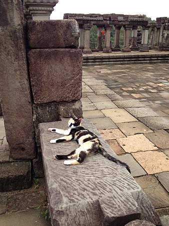 IMG_2368.JPG IMG_2368.JPG