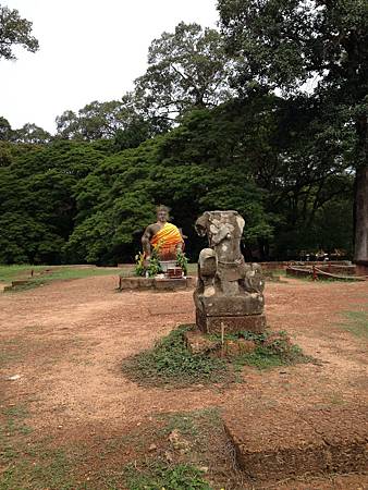 IMG_2393.JPG IMG_2393.JPG