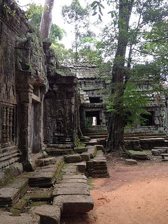 IMG_2419.JPG IMG_2419.JPG