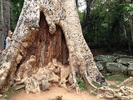 IMG_2422.JPG IMG_2422.JPG