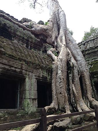 IMG_2426.JPG IMG_2426.JPG