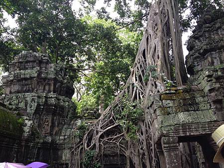 IMG_2434.JPG IMG_2434.JPG