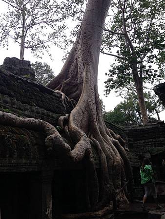 IMG_2436.JPG IMG_2436.JPG