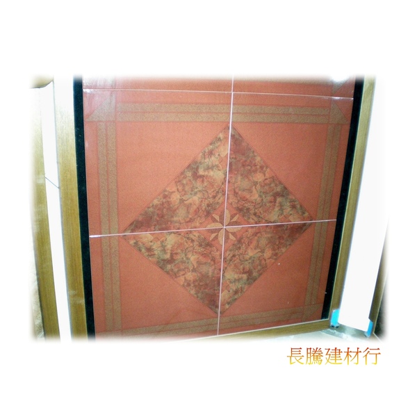 艾貝爾50x50