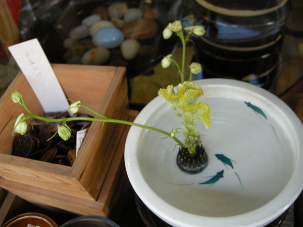悠游