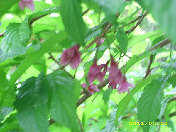IMG_0295.JPG