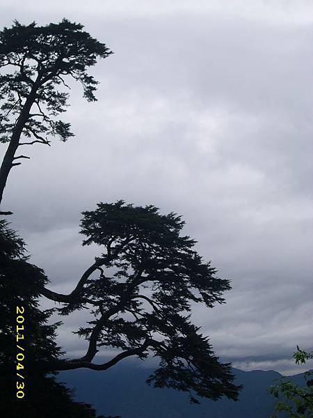 IMG_0249.JPG