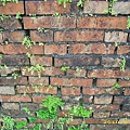 IMG_0052.JPG