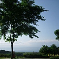 IMG_0181.JPG