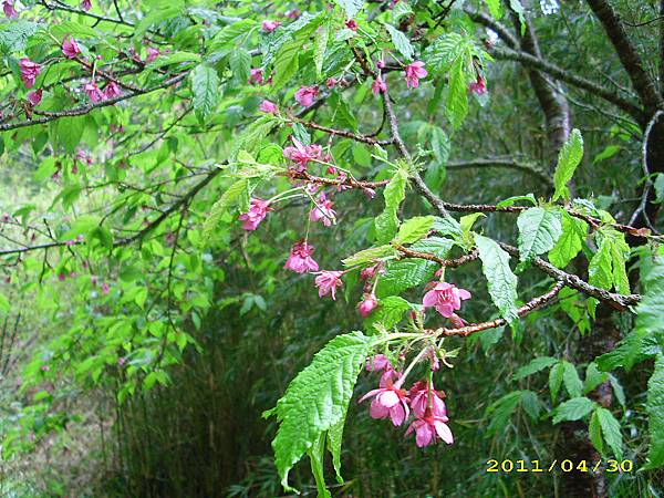 IMG_0221.JPG