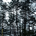 IMG_0290.JPG