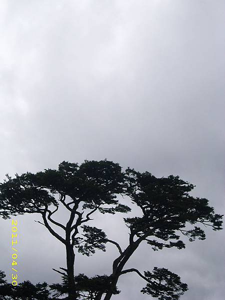 IMG_0280.JPG