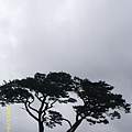 IMG_0280.JPG