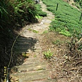 IMG_0114.JPG