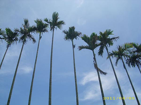 IMG_0117.JPG