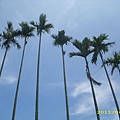 IMG_0117.JPG