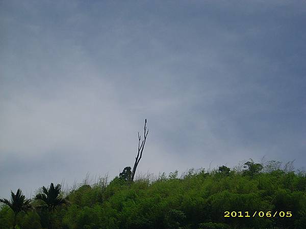 IMG_0120.JPG