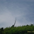 IMG_0120.JPG