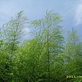 IMG_0122.JPG