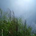 IMG_0126.JPG