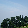 IMG_0129.JPG