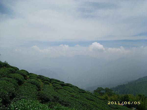IMG_0135.JPG