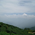 IMG_0135.JPG