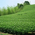 IMG_0147.JPG