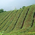 IMG_0157.JPG