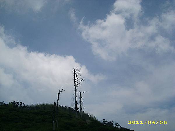 IMG_0159.JPG