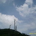 IMG_0159.JPG