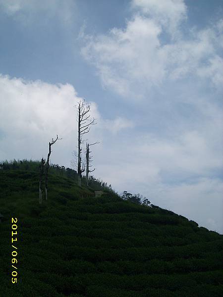 IMG_0160.JPG