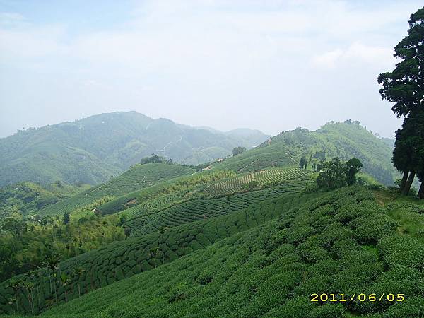 IMG_0161.JPG