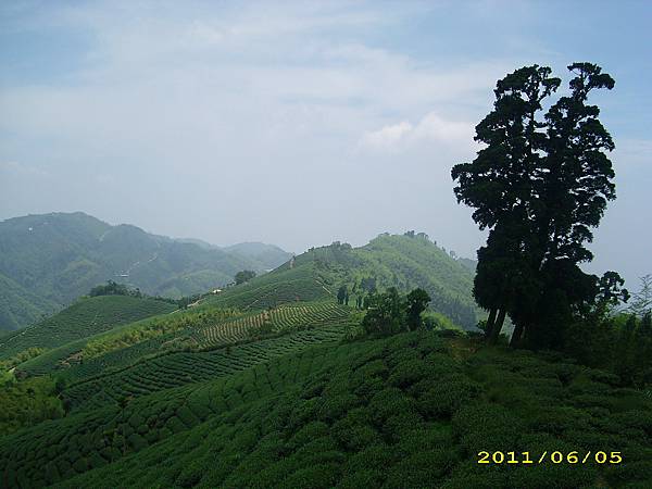 IMG_0162.JPG