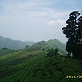 IMG_0162.JPG