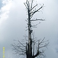 IMG_0163.JPG
