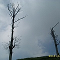 IMG_0164.JPG