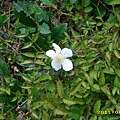 IMG_0165.JPG