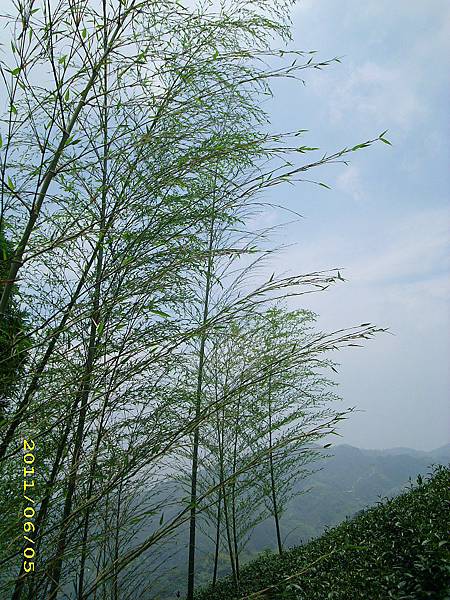 IMG_0168.JPG