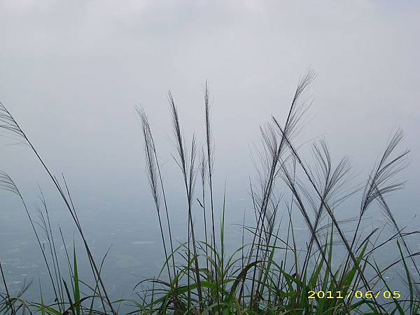 IMG_0176.JPG