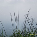 IMG_0176.JPG
