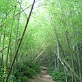 IMG_0178.JPG