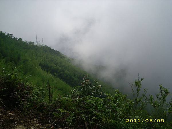 IMG_0201.JPG