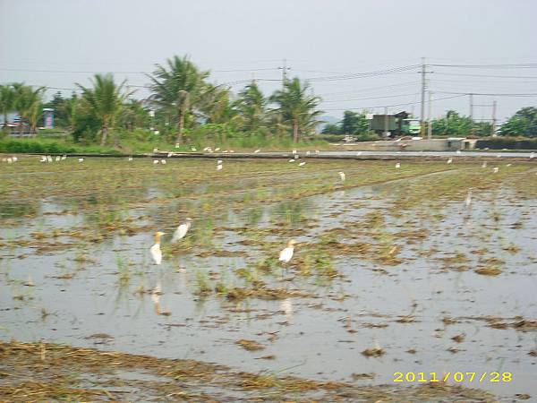 IMG_0039.JPG