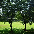 IMG_0005