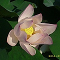 IMG_0098.JPG