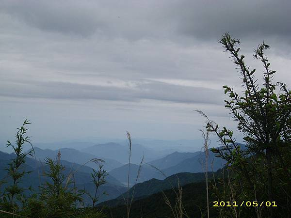 IMG_0316.JPG