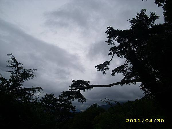IMG_0251.JPG